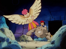 Brock_Geodude_Ash_Pidgeotto